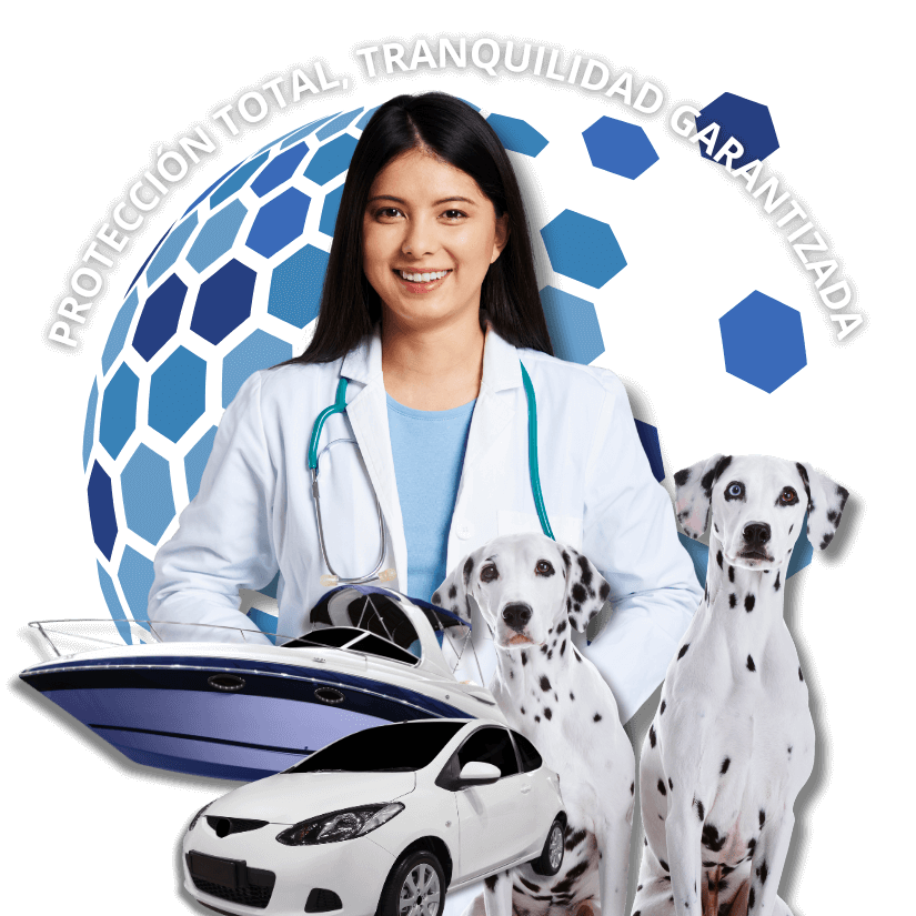 All Global Insurance LLC