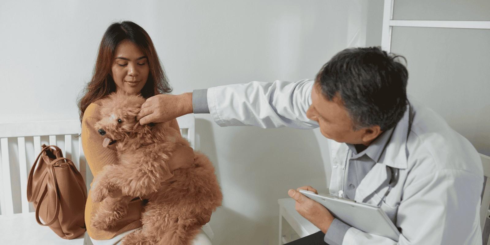 Nuevas regulaciones de seguros para mascotas en Florida: ¿Qué debes saber?